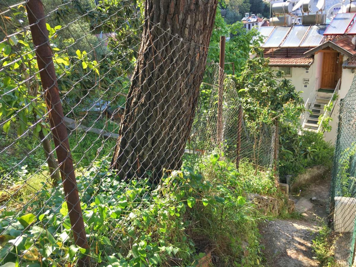 Home Dream View - Fethiye Centre 外观 照片